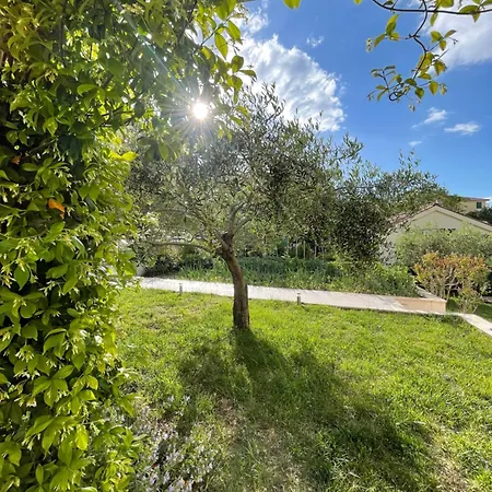Garden Apartment Mamut *