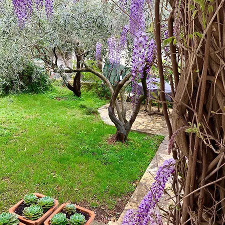 Garden Apartment Mamut *