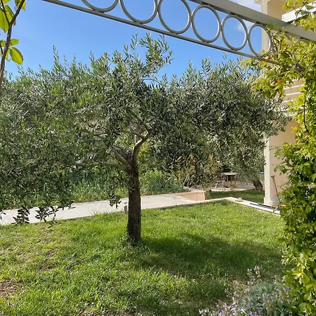 Garden Apartment Mamut *